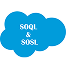 Salesforce SOQL and SOSL query language symbol