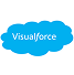 Salesforce Visualforce development icon